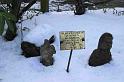 Snowy_Weather_Feb_09 (11)